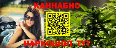стаф Аргун