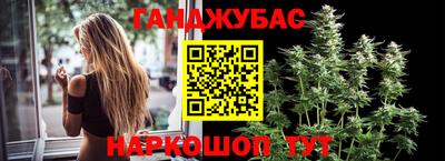 стаф Аргун