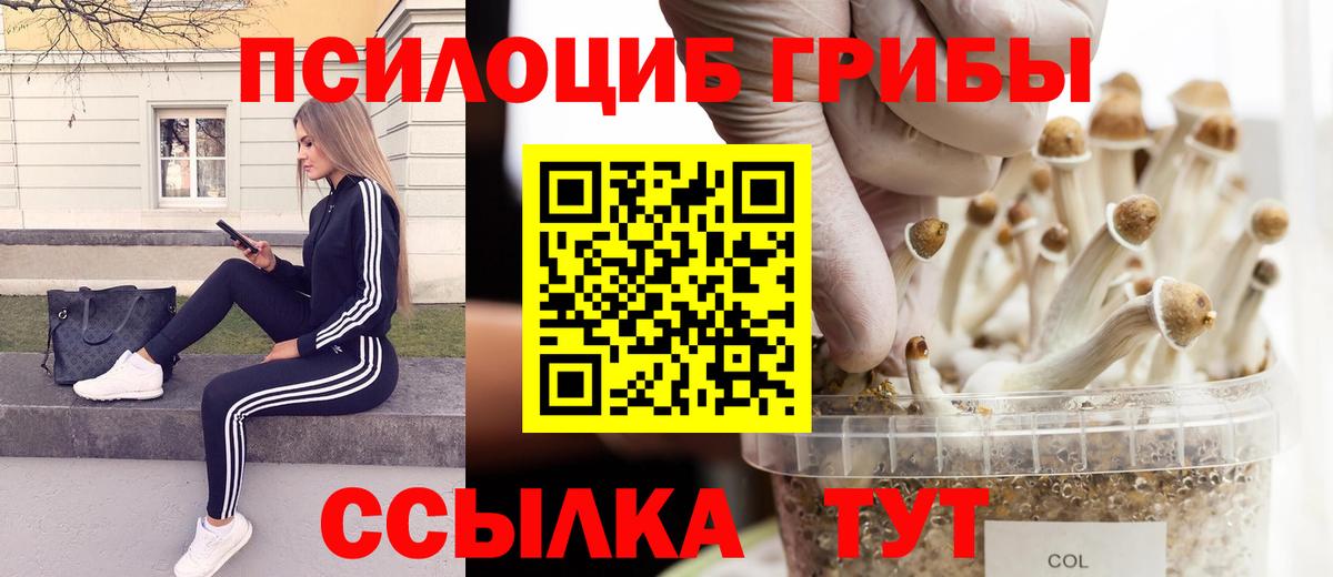 Батайск  Галлюциногенные грибы прущие грибы  Вход с VPN 